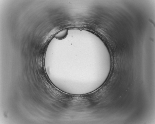 X0000102271451200808151853