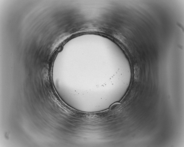 X0000102271452200808151853