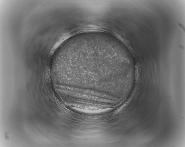 X0000102271453200808151853