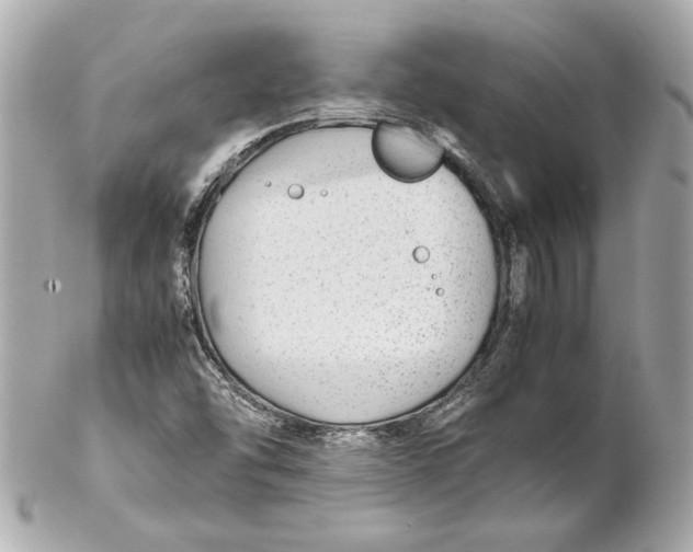 X0000102271454200808151853