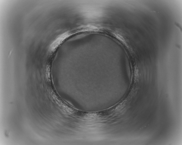 X0000102271455200808151853