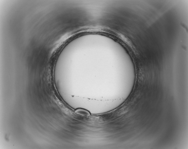 X0000102271456200808151853