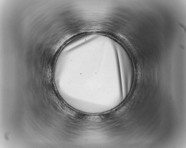 X0000102271457200808151853