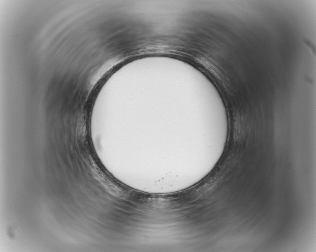 X0000102271458200808151853