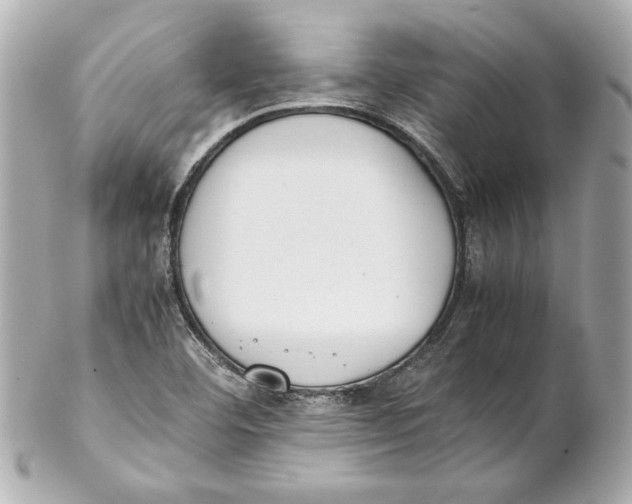 X0000102271460200808151853