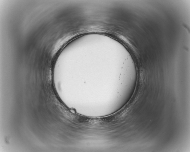 X0000102271461200808151853