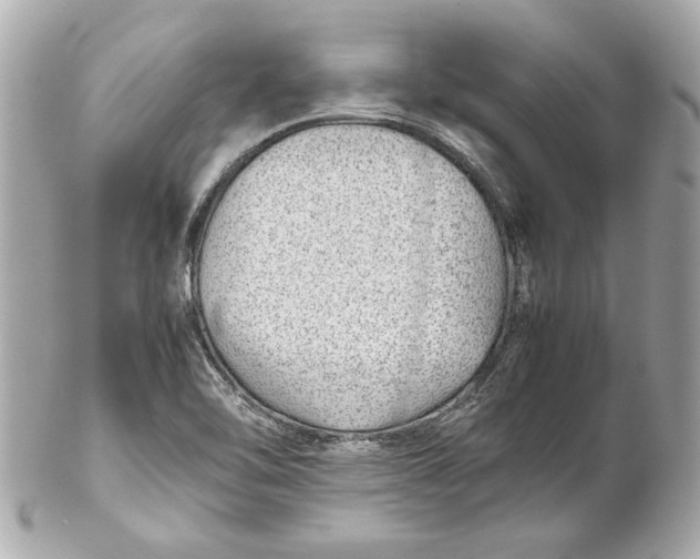 X0000102271462200808151853