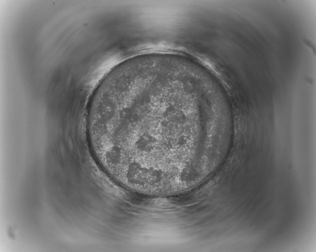 X0000102271463200808151853