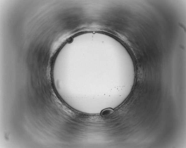 X0000102271464200808151853