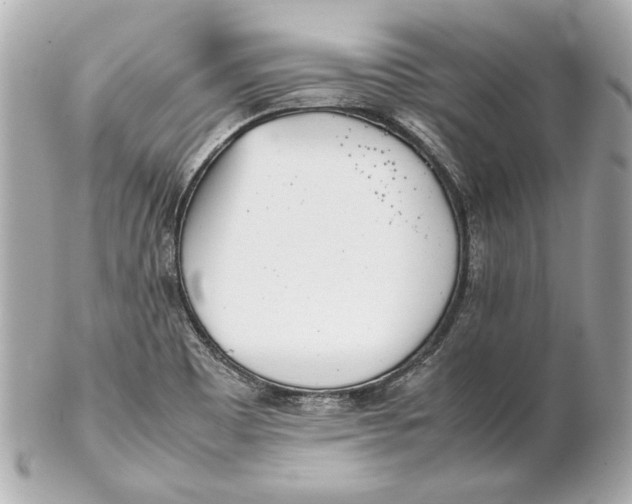 X0000102271465200808151853