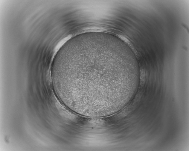 X0000102271466200808151853