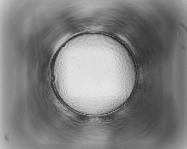 X0000102271467200808151853