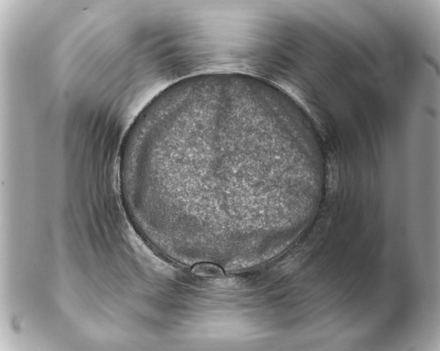 X0000102271468200808151852