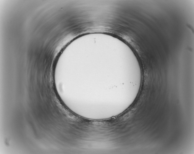 X0000102271469200808151852