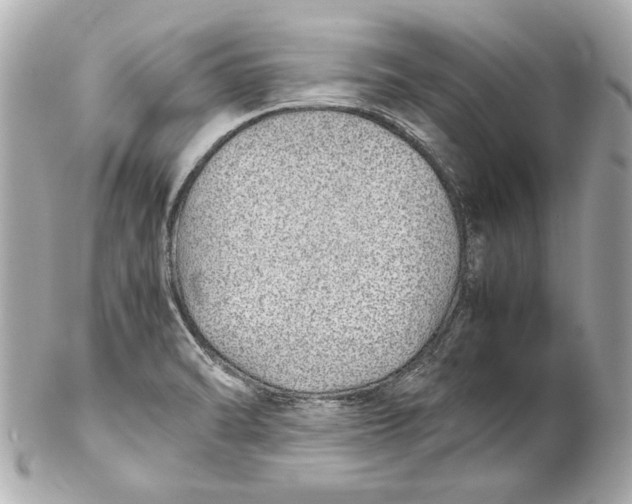 X0000102271470200808151852