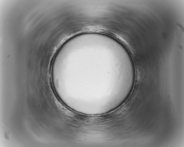 X0000102271471200808151852