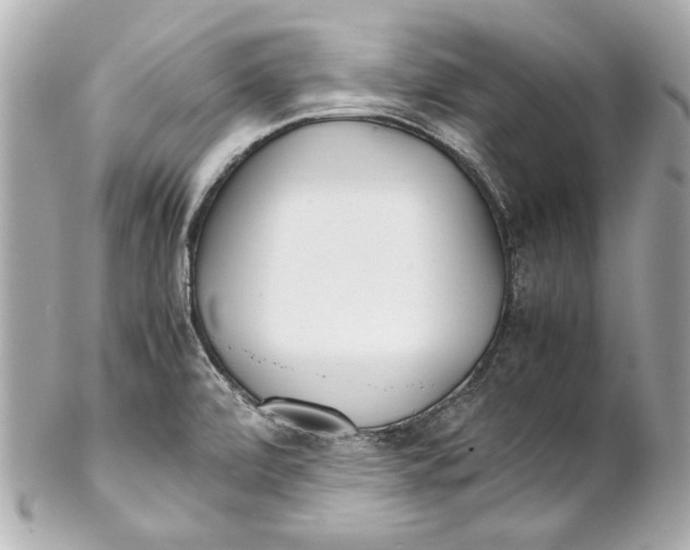 X0000102271472200808151852