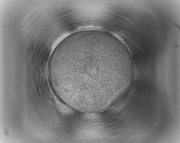 X0000102271474200808151852