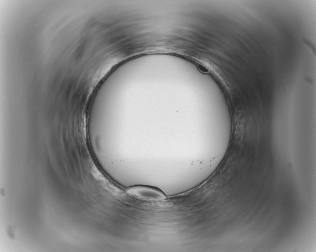 X0000102271476200808151852