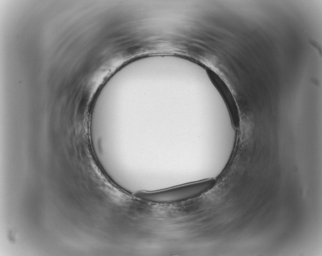 X0000102271477200808151852