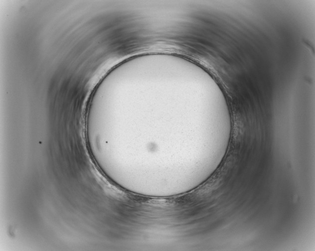 X0000102271478200808151852