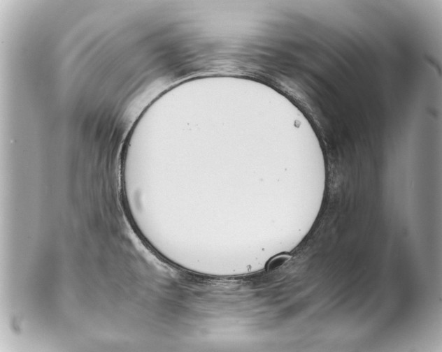 X0000102271479200808151852