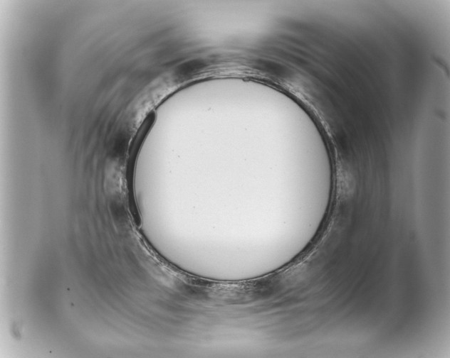 X0000102271481200808151852