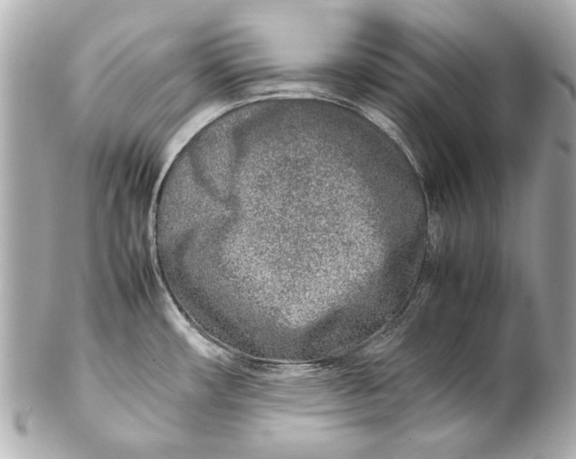 X0000102271482200808151852