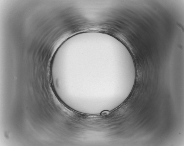 X0000102271483200808151852