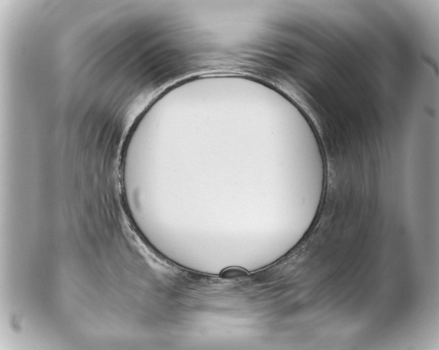 X0000102271485200808151852