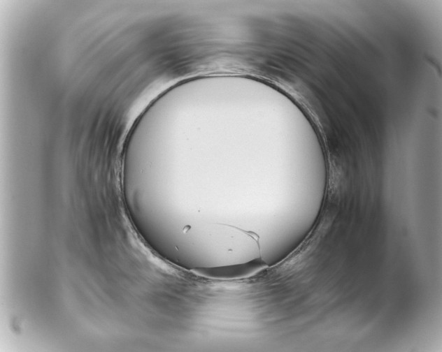 X0000102271486200808151852