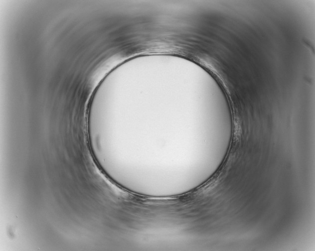 X0000102271487200808151852