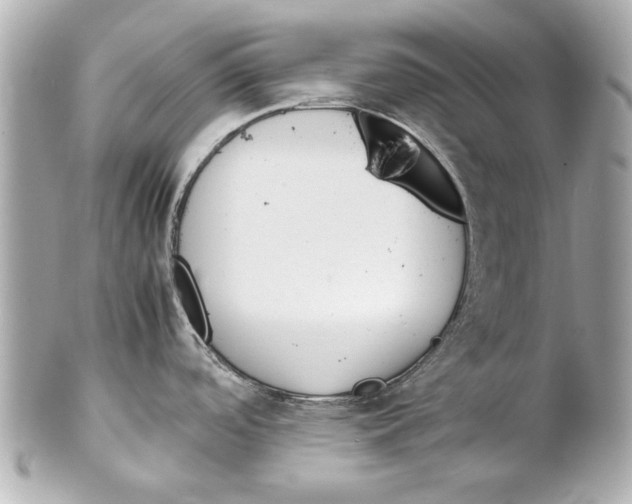 X0000102271488200808151852