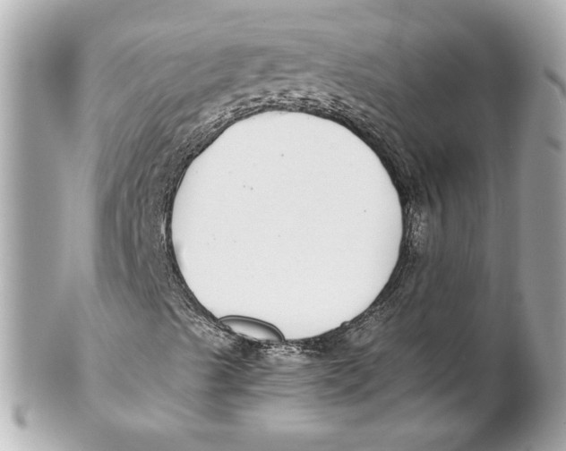 X0000102271489200808151851