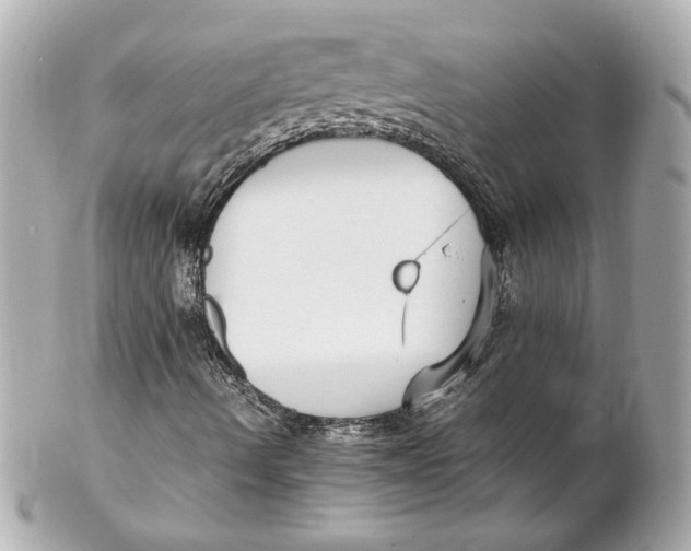 X0000102271490200808151851