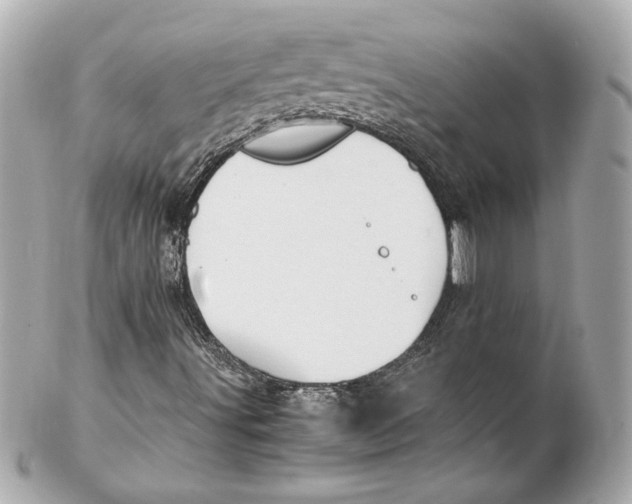 X0000102271491200808151851