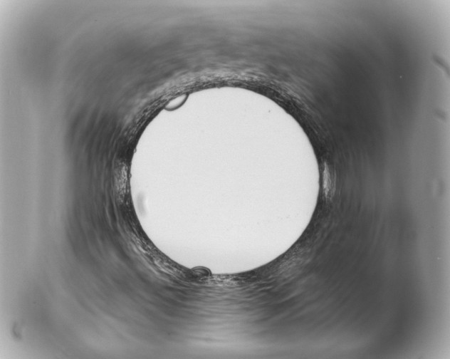 X0000102271492200808151851