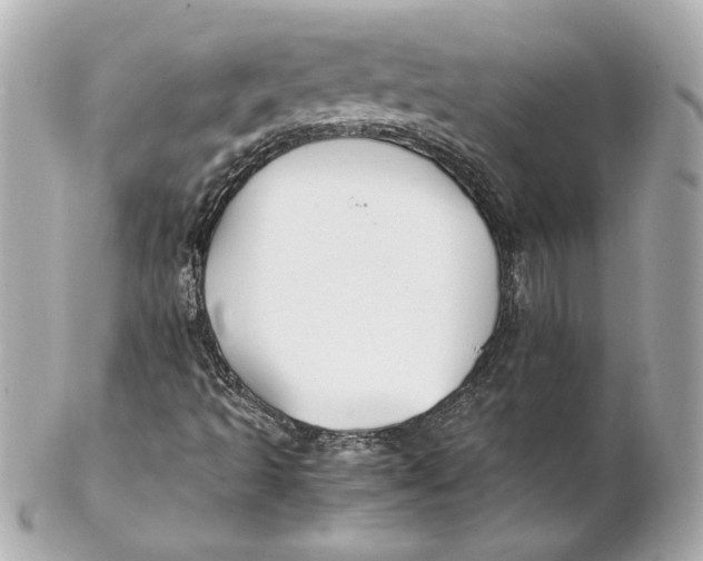 X0000102271493200808151851