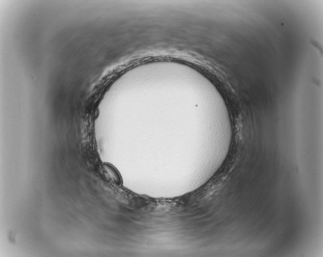 X0000102271494200808151851