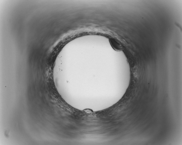 X0000102271495200808151851