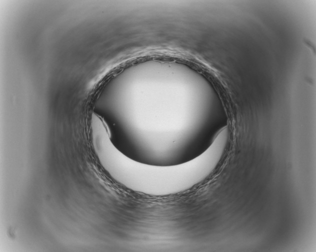 X0000102271496200808151851