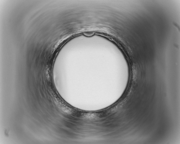 X0000102271497200808151851