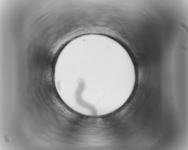 X0000102271498200808151851