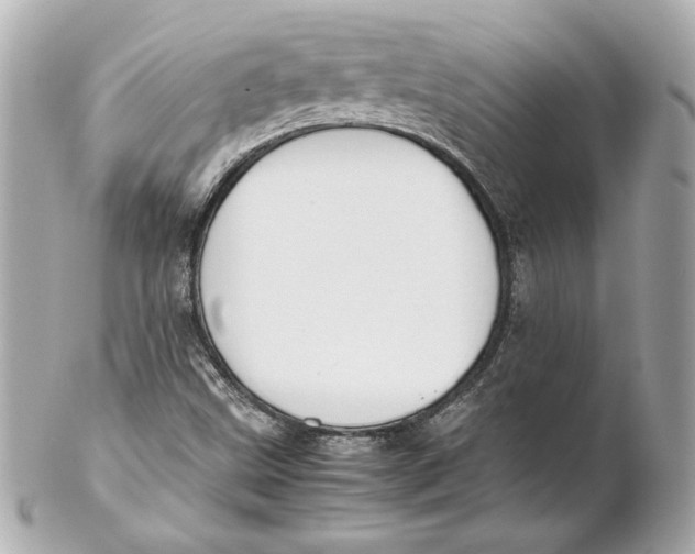 X0000102271499200808151852