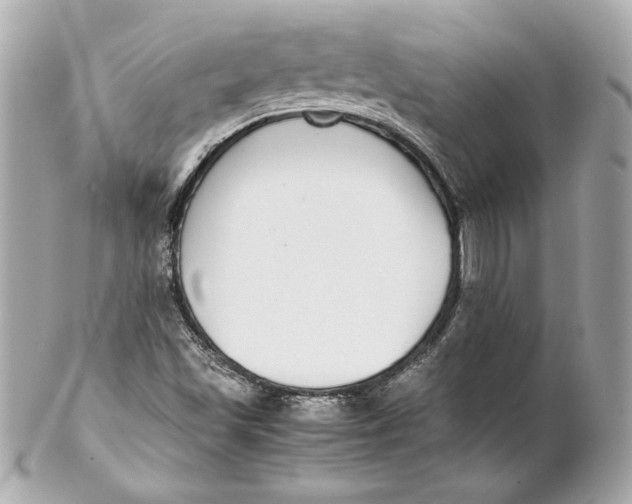 X0000102271501200808151852