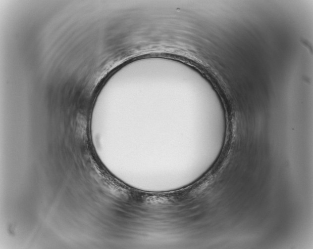 X0000102271505200808151852