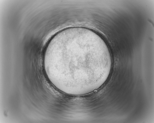 X0000102271506200808151852