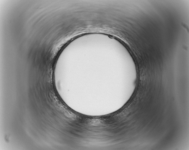 X0000102271507200808151852