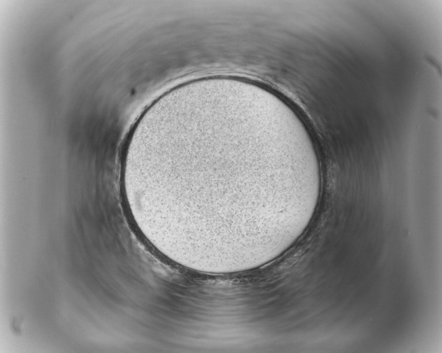 X0000102271508200808151852