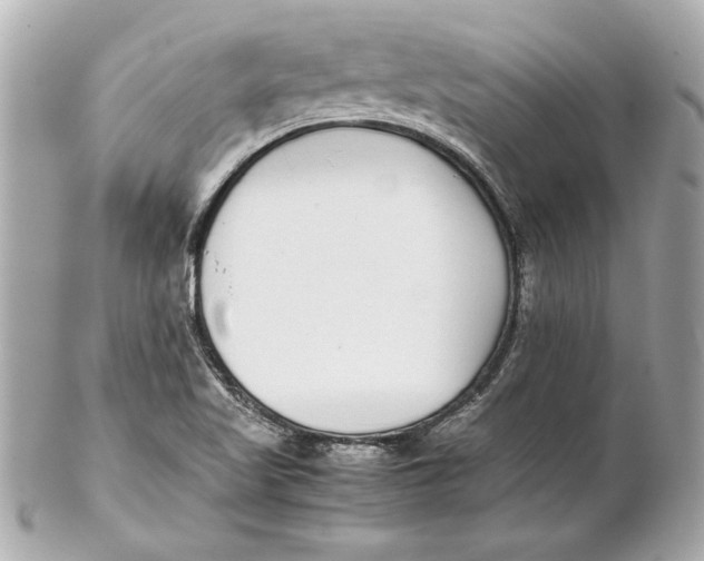 X0000102271509200808151852